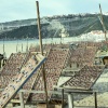 Drrfisch am Strand von Nazaré